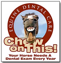 Have your horses teeth checked!